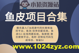 鱼皮项目合集（服务器入门&搭建代码托管和监控平台、鱼泡-伙伴匹配系统、鱼皮OJ-在线判题系统、鱼搜索-聚合搜索平台、鱼籽-定制化代码生成项目、智能bi   ）