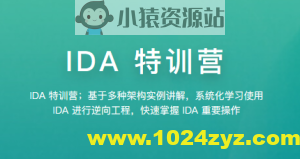 【看雪】IDA特训营