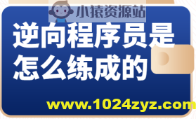 逆向程序员是怎么练成的