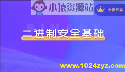 二进制安全系列教程