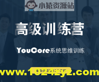 YouCore系统思维高级训练