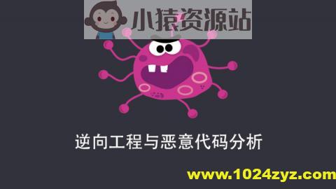 逆向工程与恶意代码分析