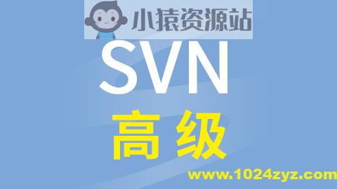 尚硅谷SVN高级视频