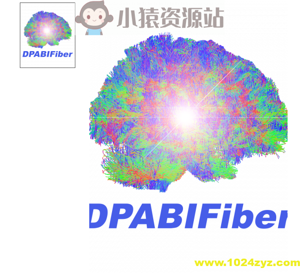 DPABIFIBER脑结构纤维与脑功能融合高阶课程