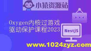 Oxygen内核过游戏驱动保护课程2023
