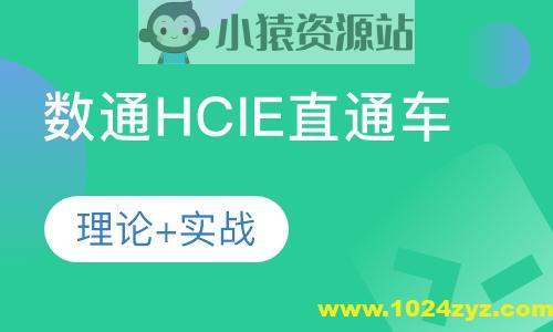 HCIE-阮维数通直通车2024