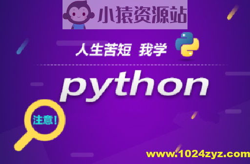 王道Python工程师2024长期班10期|价值过万