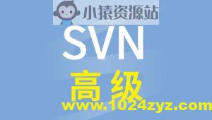 硅谷SVN高级视频