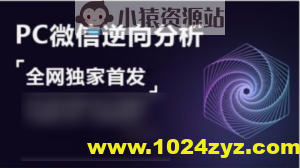PC微信hook逆向分析，视频课程，价值599