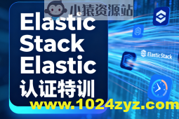 Elastic Stack Elastic认证特训