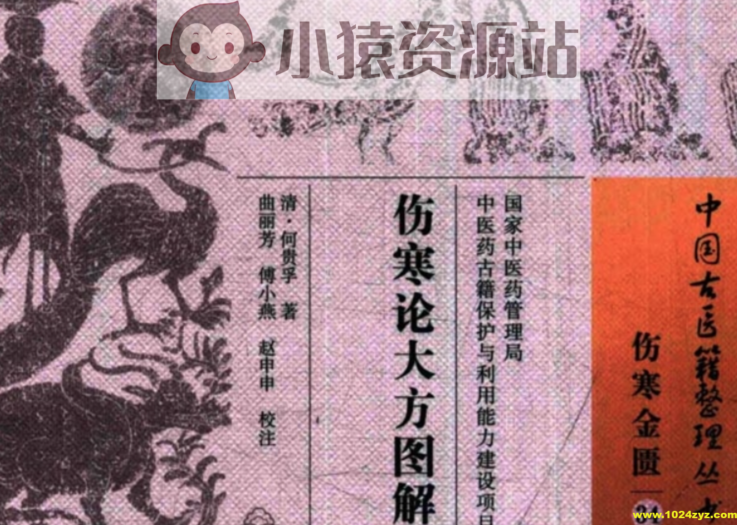 抖音爆火的画出来的伤寒论《伤寒论大方图解》