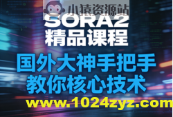 SORA2精品课程,国外大神手把手教你核心技术