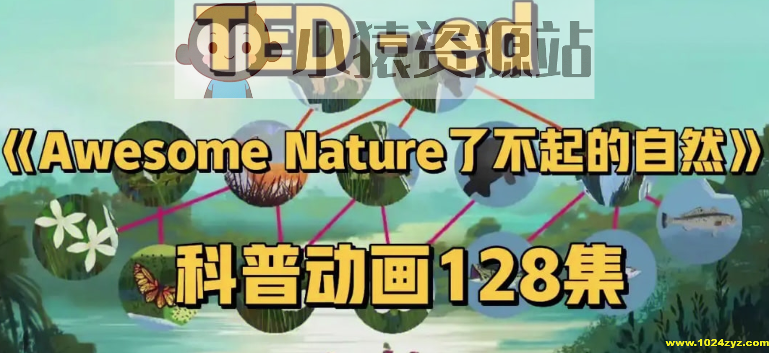 TED-ed系列科普动画《了不起的自然 Awesome Nature》