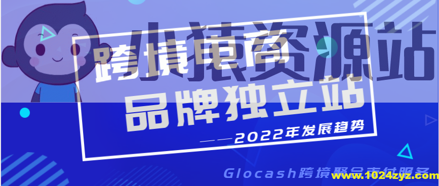 品牌独立站策略与推广,学习是开始,落地是王道