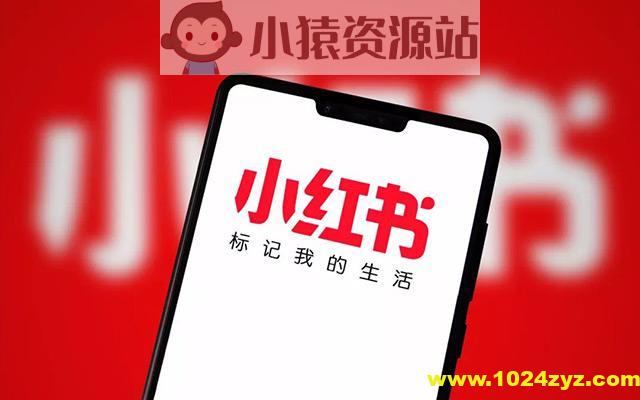 小红书广告投放从0到1的实战课,学完即可开始投放,拒绝无效广告消耗